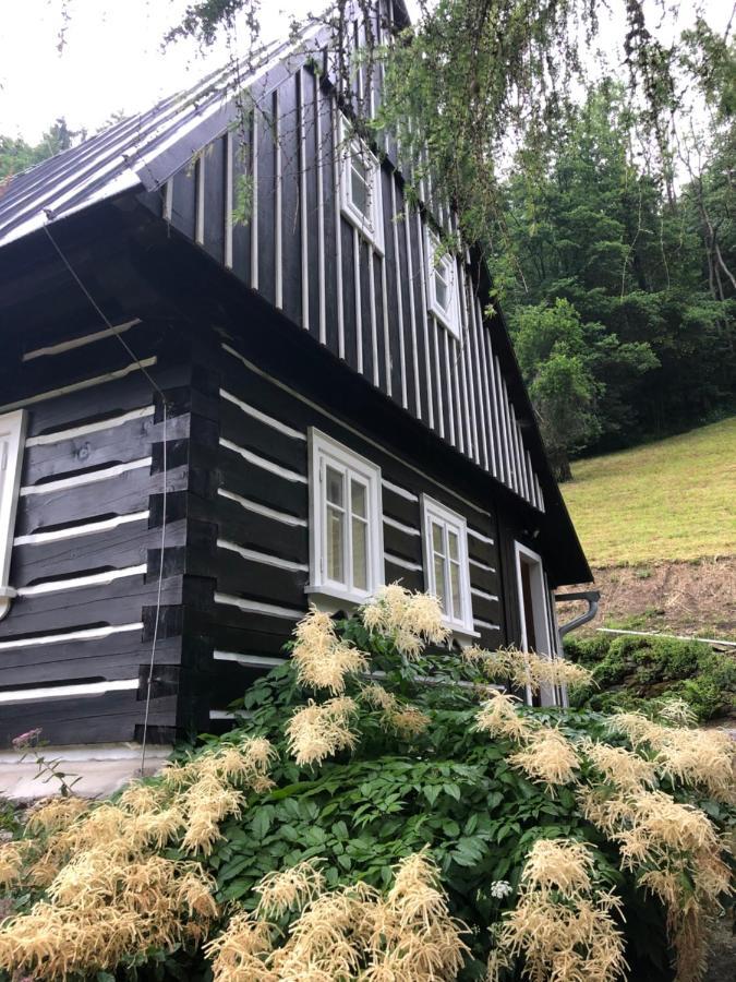 Roubenka Bratrouchov Villa Jablonec nad Jizerou Exterior foto
